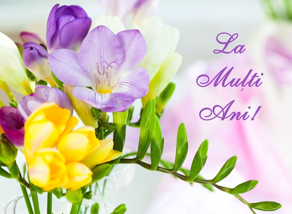 felicitari-cu-flori-cele-mai-frumoase-imagini-cu-mesaje-de-la-multi-ani-5.jpg